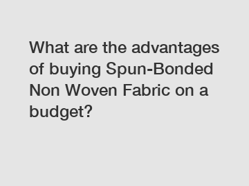 What are the advantages of buying Spun-Bonded Non Woven Fabric on a budget?