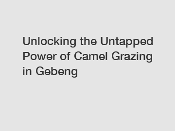 Unlocking the Untapped Power of Camel Grazing in Gebeng