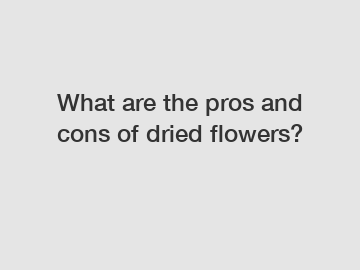 What are the pros and cons of dried flowers?