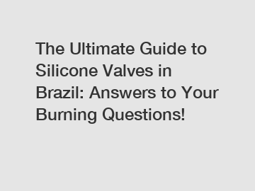 The Ultimate Guide to Silicone Valves in Brazil: Answers to Your Burning Questions!