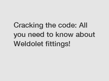 Cracking the code: All you need to know about Weldolet fittings!