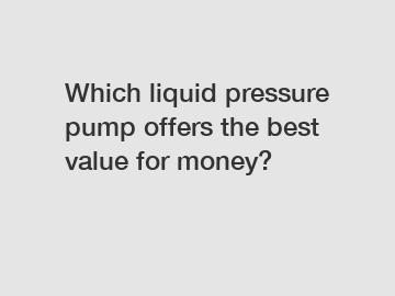 Which liquid pressure pump offers the best value for money?