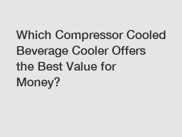 Which Compressor Cooled Beverage Cooler Offers the Best Value for Money?