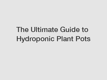 The Ultimate Guide to Hydroponic Plant Pots