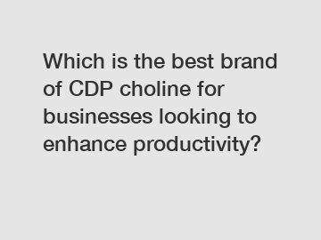 Which is the best brand of CDP choline for businesses looking to enhance productivity?