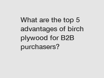 What are the top 5 advantages of birch plywood for B2B purchasers?