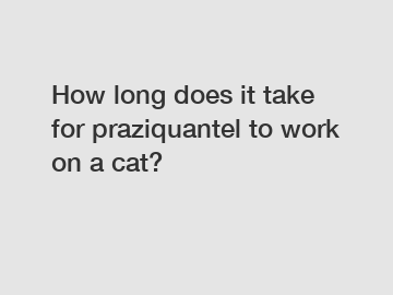 How long does it take for praziquantel to work on a cat?