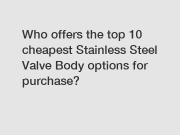 Who offers the top 10 cheapest Stainless Steel Valve Body options for purchase?