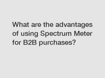 What are the advantages of using Spectrum Meter for B2B purchases?