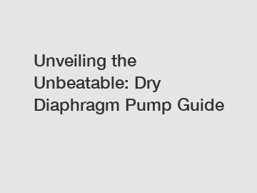 Unveiling the Unbeatable: Dry Diaphragm Pump Guide