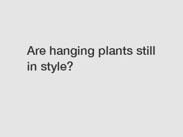 Are hanging plants still in style?