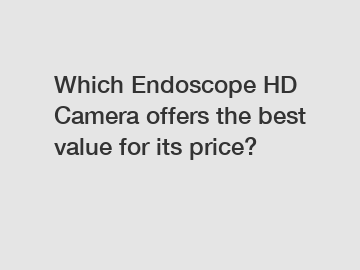 Which Endoscope HD Camera offers the best value for its price?