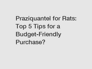 Praziquantel for Rats: Top 5 Tips for a Budget-Friendly Purchase?