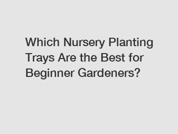 Which Nursery Planting Trays Are the Best for Beginner Gardeners?
