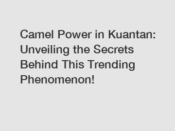 Camel Power in Kuantan: Unveiling the Secrets Behind This Trending Phenomenon!