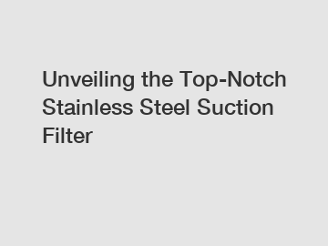 Unveiling the Top-Notch Stainless Steel Suction Filter