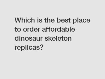 Which is the best place to order affordable dinosaur skeleton replicas?