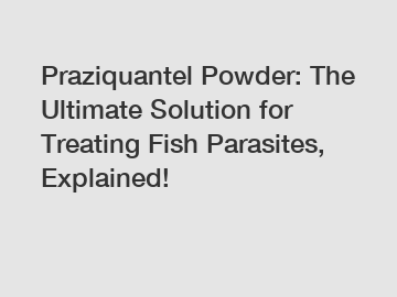 Praziquantel Powder: The Ultimate Solution for Treating Fish Parasites, Explained!