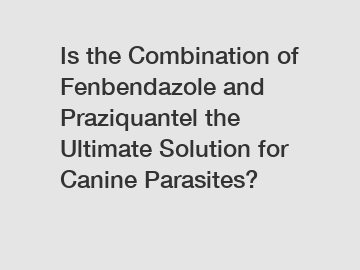 Is the Combination of Fenbendazole and Praziquantel the Ultimate Solution for Canine Parasites?