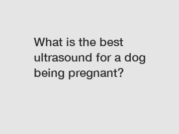 What is the best ultrasound for a dog being pregnant?