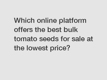 Which online platform offers the best bulk tomato seeds for sale at the lowest price?