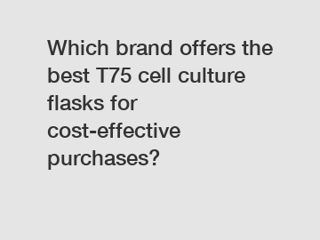 Which brand offers the best T75 cell culture flasks for cost-effective purchases?