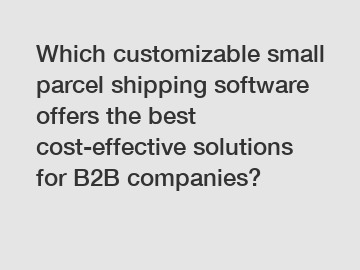 Which customizable small parcel shipping software offers the best cost-effective solutions for B2B companies?