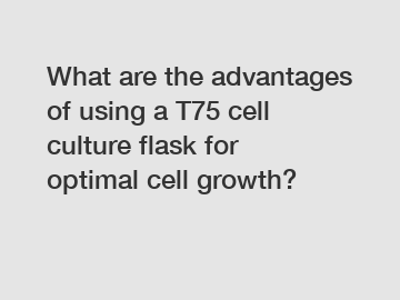 What are the advantages of using a T75 cell culture flask for optimal cell growth?