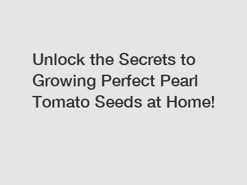 Unlock the Secrets to Growing Perfect Pearl Tomato Seeds at Home!