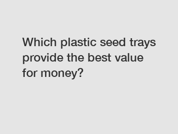 Which plastic seed trays provide the best value for money?