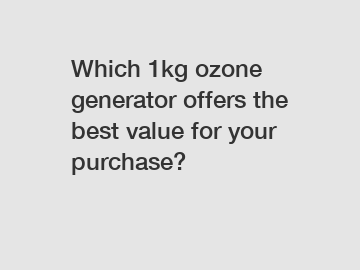 Which 1kg ozone generator offers the best value for your purchase?