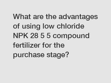 What are the advantages of using low chloride NPK 28 5 5 compound fertilizer for the purchase stage?