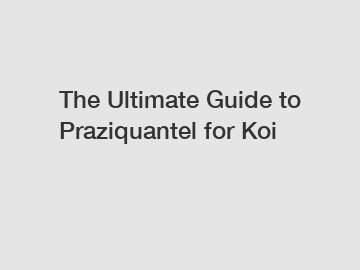 The Ultimate Guide to Praziquantel for Koi