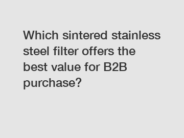 Which sintered stainless steel filter offers the best value for B2B purchase?