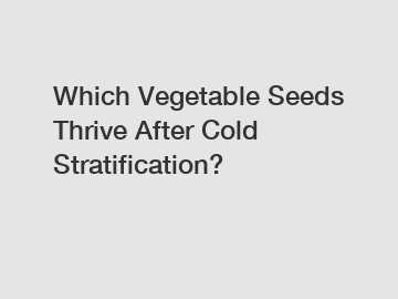 Which Vegetable Seeds Thrive After Cold Stratification?