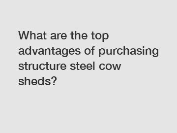 What are the top advantages of purchasing structure steel cow sheds?