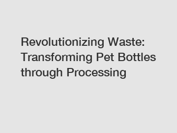 Revolutionizing Waste: Transforming Pet Bottles through Processing