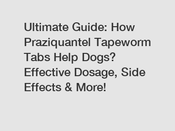 Ultimate Guide: How Praziquantel Tapeworm Tabs Help Dogs? Effective Dosage, Side Effects & More!