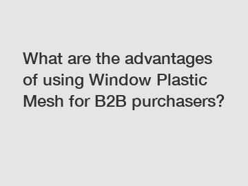 What are the advantages of using Window Plastic Mesh for B2B purchasers?