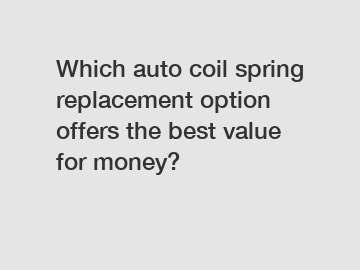 Which auto coil spring replacement option offers the best value for money?