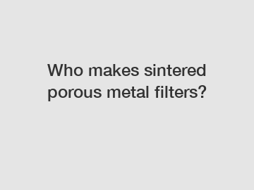 Who makes sintered porous metal filters?