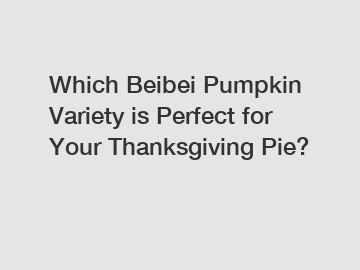 Which Beibei Pumpkin Variety is Perfect for Your Thanksgiving Pie?