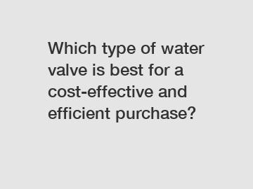 Which type of water valve is best for a cost-effective and efficient purchase?