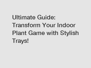 Ultimate Guide: Transform Your Indoor Plant Game with Stylish Trays!