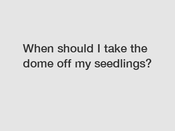 When should I take the dome off my seedlings?