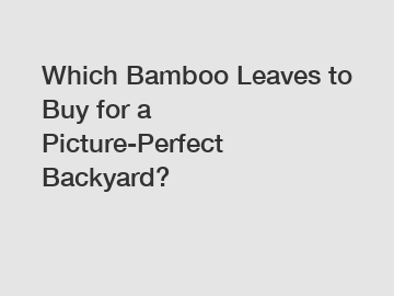 Which Bamboo Leaves to Buy for a Picture-Perfect Backyard?