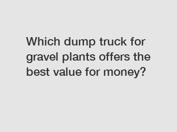 Which dump truck for gravel plants offers the best value for money?