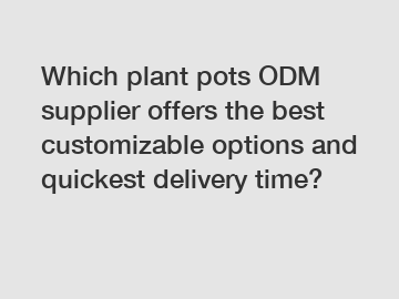 Which plant pots ODM supplier offers the best customizable options and quickest delivery time?