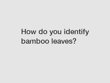 How do you identify bamboo leaves?