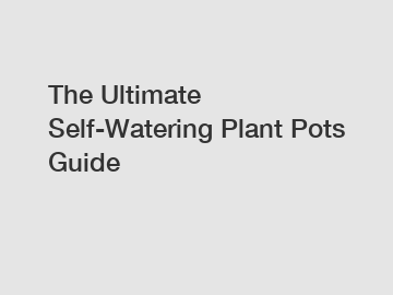 The Ultimate Self-Watering Plant Pots Guide